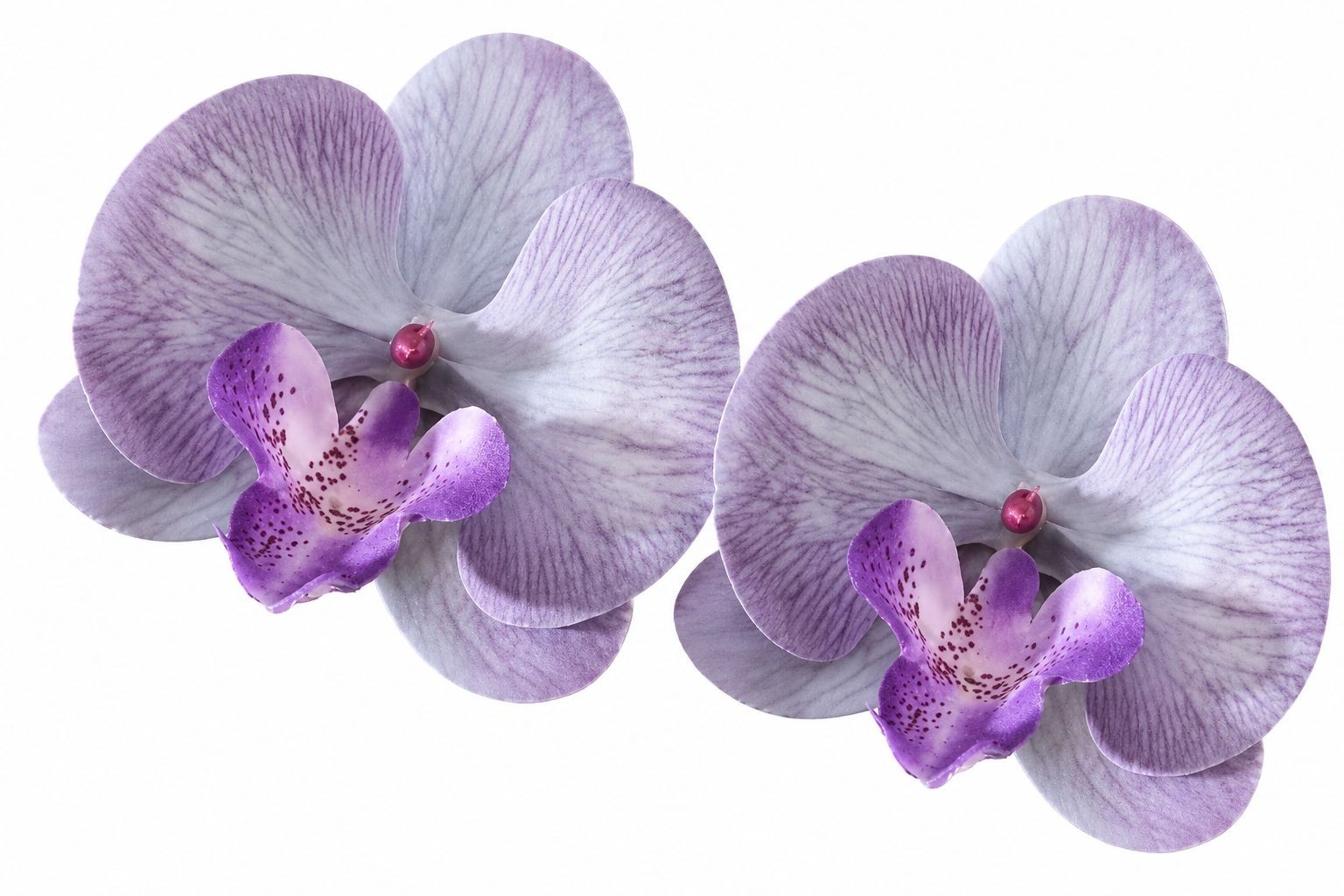 Set of 2 Lavender Purple Orchid Flower Heads 3.5 Inch Faux Floral Corsage Craft