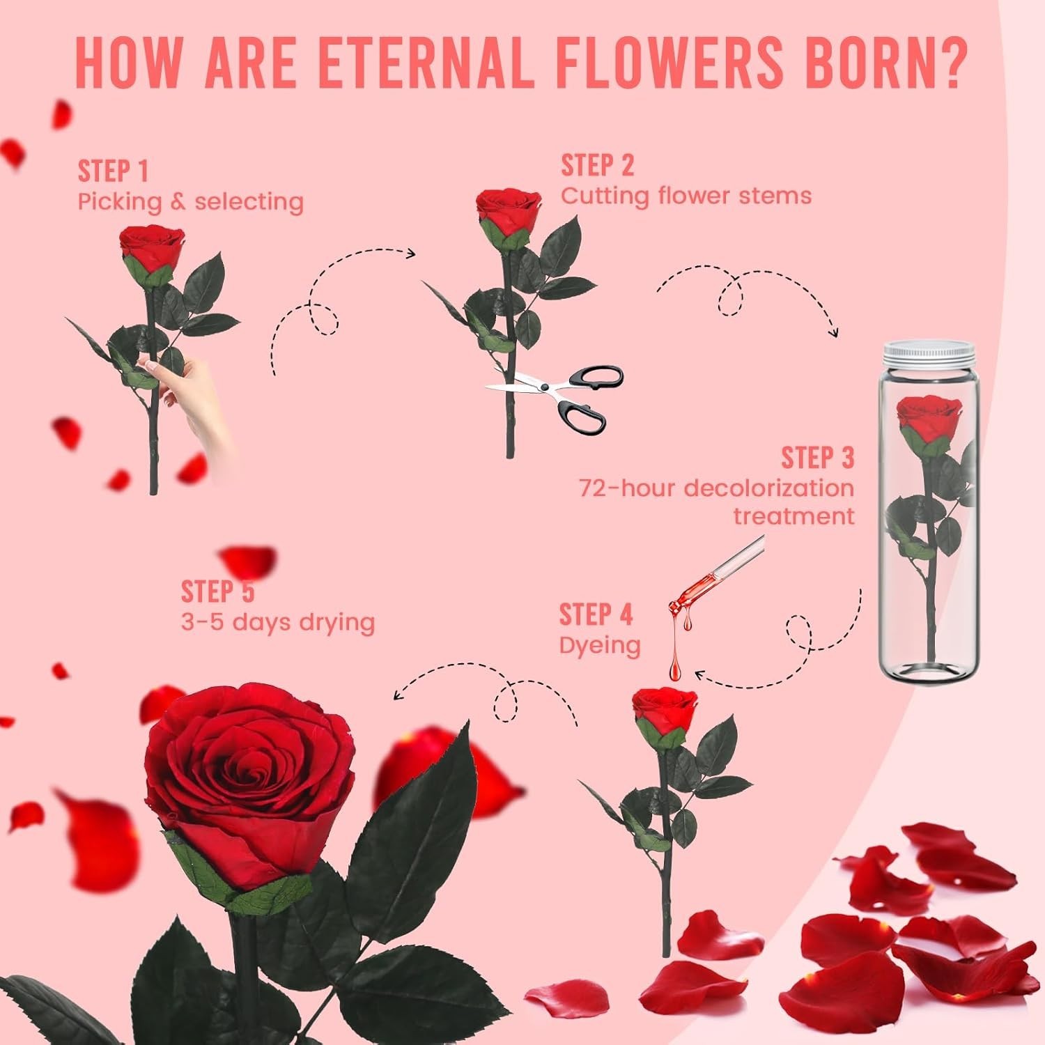 Ledoira Preserved Real Rose Forever Flowers with Heart I Red With Necklace
