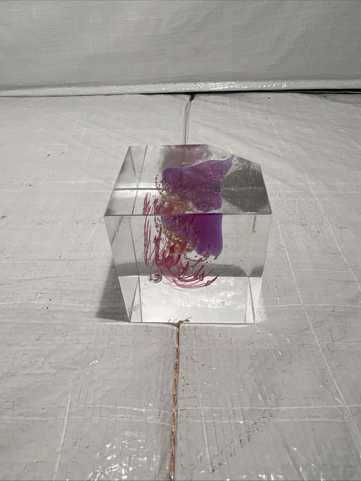 Vintage Acrylic Cube Flower Paperweight 2.25” (Preowned)