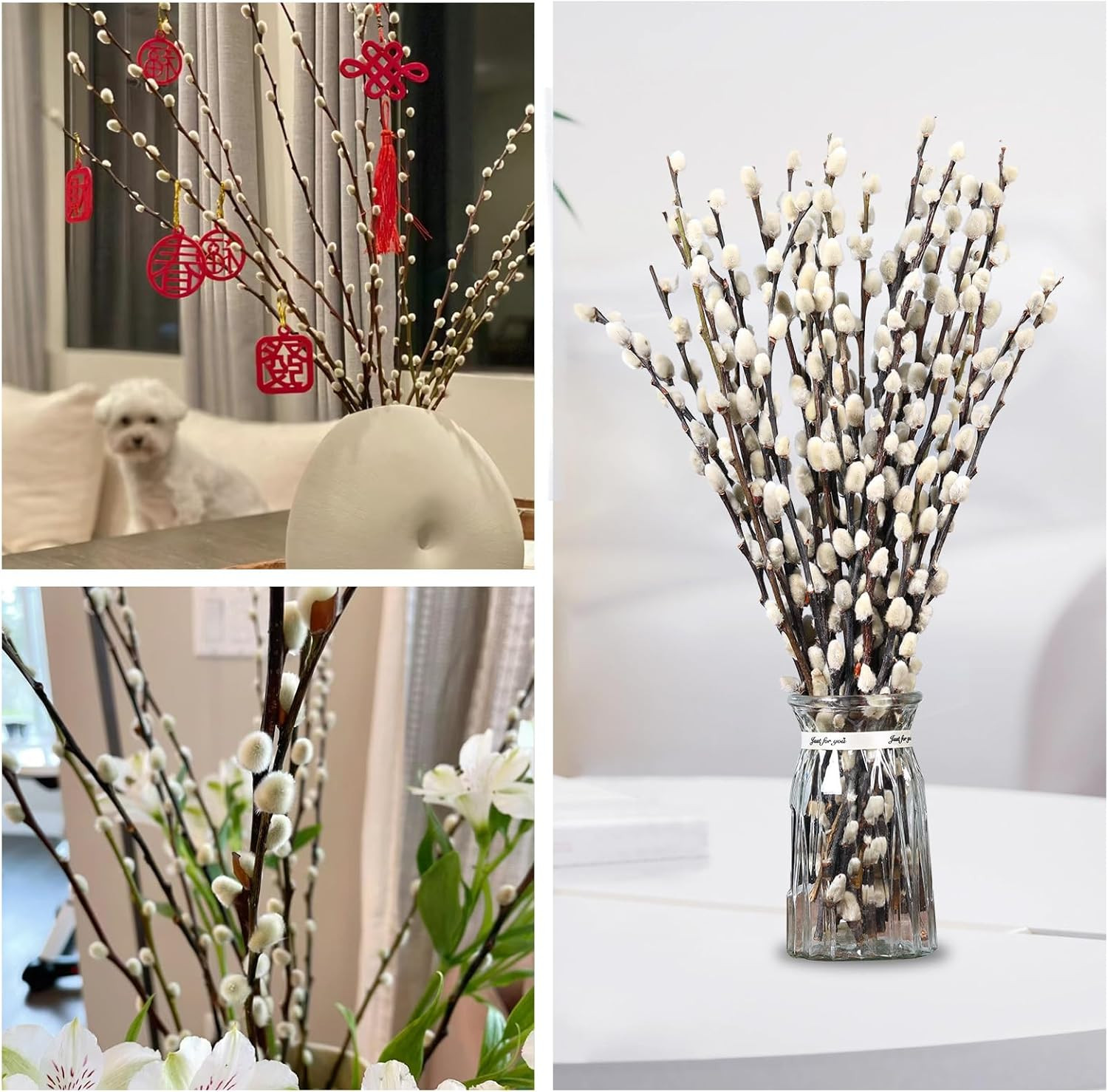 Natural Preserved Dried Pussywillow Branches for Vases, 30 Stems Real Willows, 1