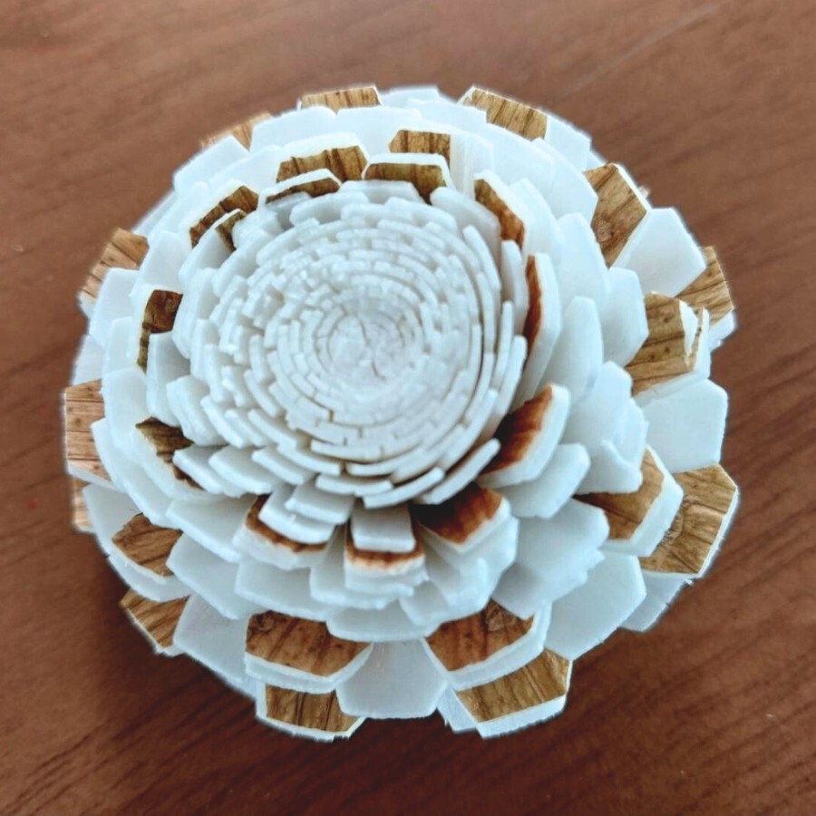 50 Marigold Sola Flower mixed with brown, Diffuser Flowers Sola Wholesale.