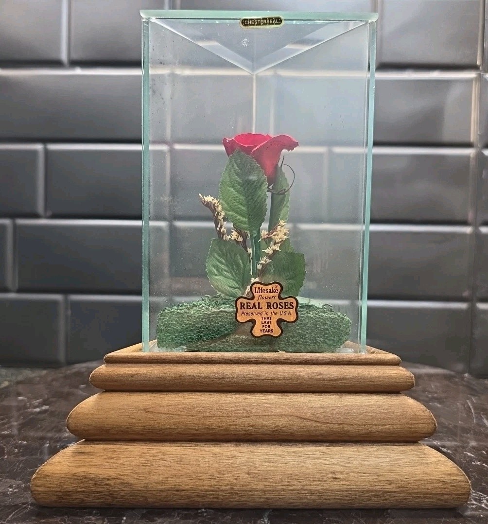 Lifesake Flowers Chesterseal Musical Real Rose Preserved In USA Glass Case