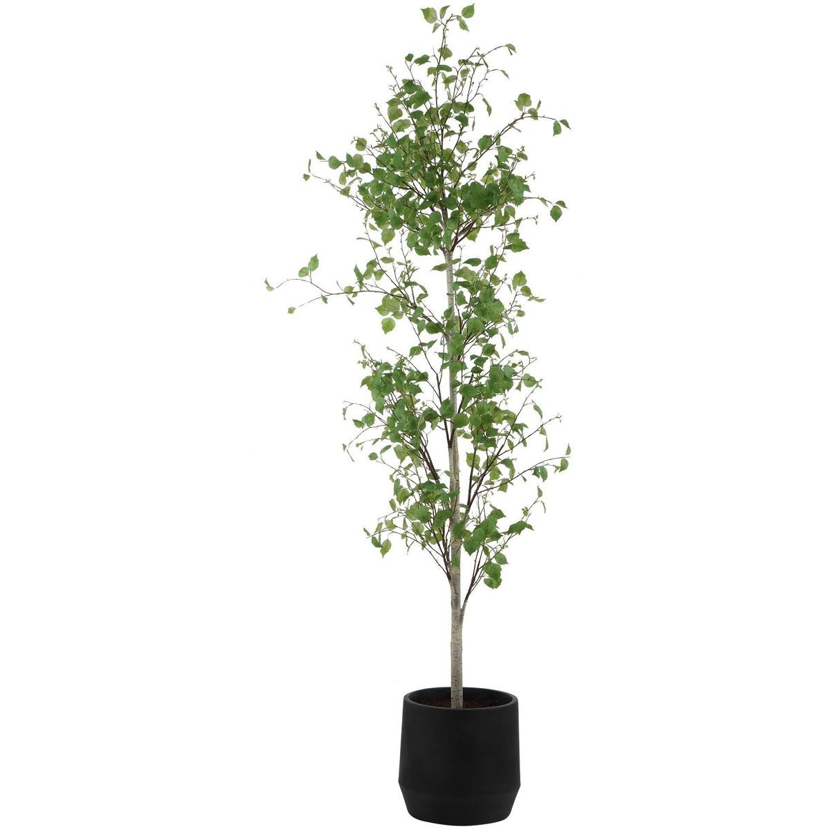 Uttermost 60263 Boreal Aged Gray and Green Potted Birch Tree