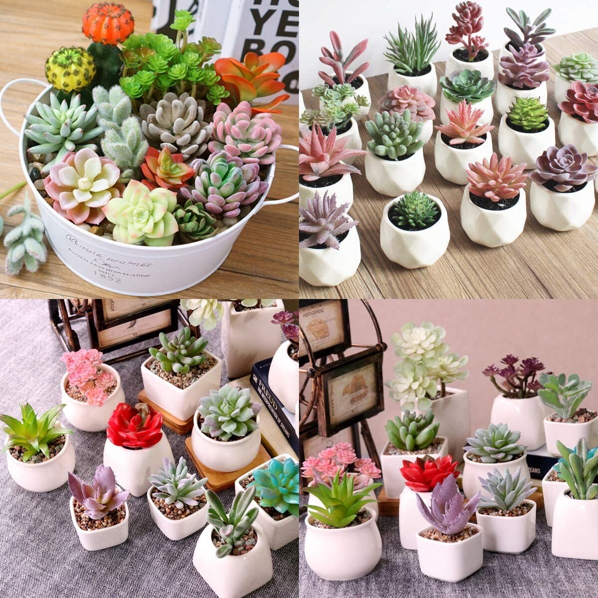 16 Pack Hassle-Free Flocked Succulent Plants – Fresh, No Maintenance Decoration