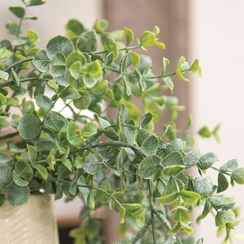 New Farmhouse GREEN TRAILING EUCALYPTUS Hanging Tear Drop Vine Stem Bush