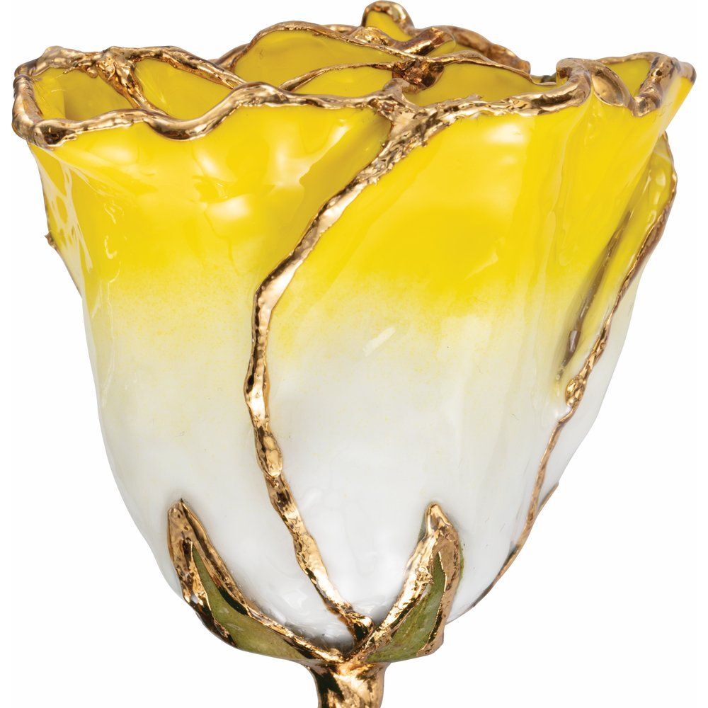24k Gold Dipped Cream Yellow Lacquer Real Rose Valentine’s Day Holiday Gift