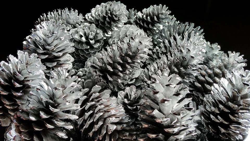 Silver Pine Cones Hand Painted All Natural Premium Quality Cones One Dozen 