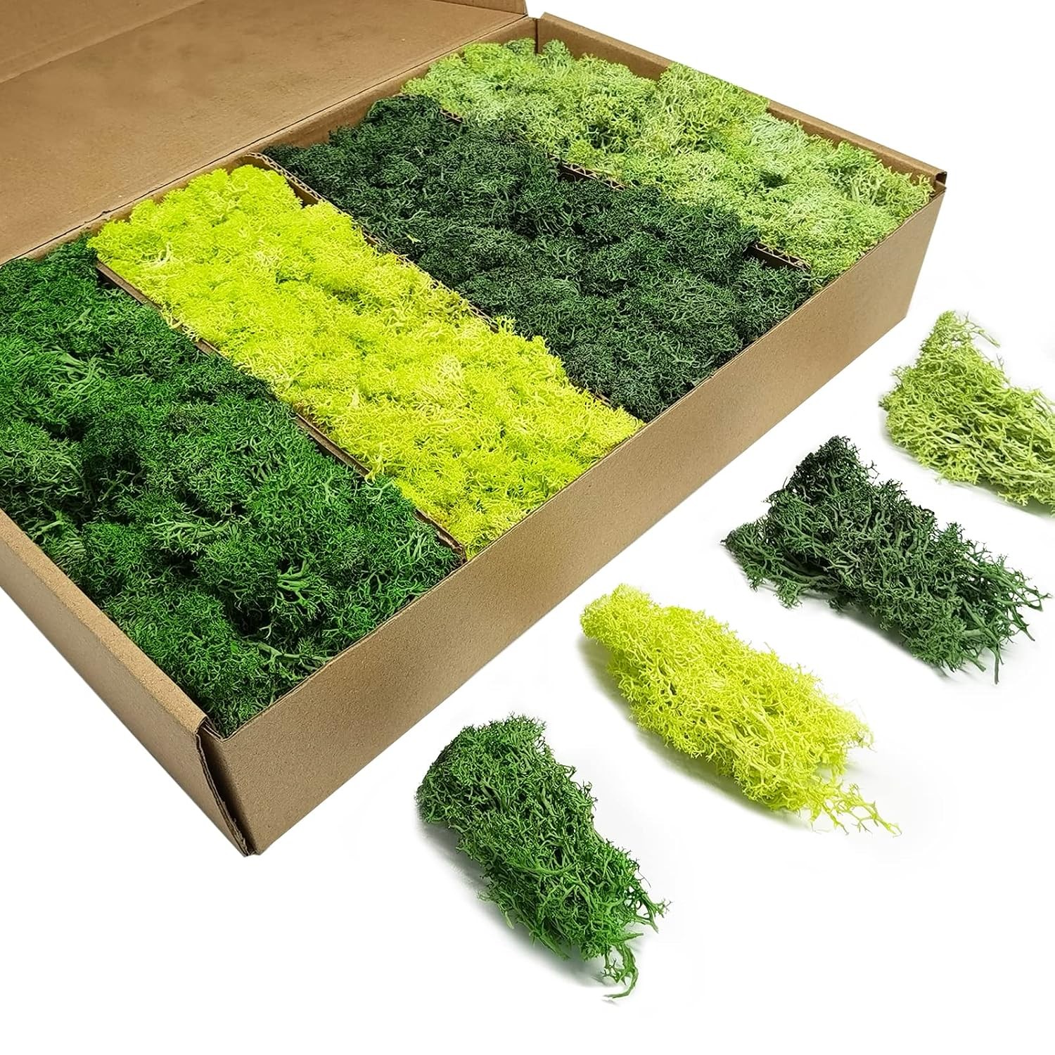 Preserved Moss 4 Color Reindeer Craft Decorations 14 OZ Green Artificial Moss