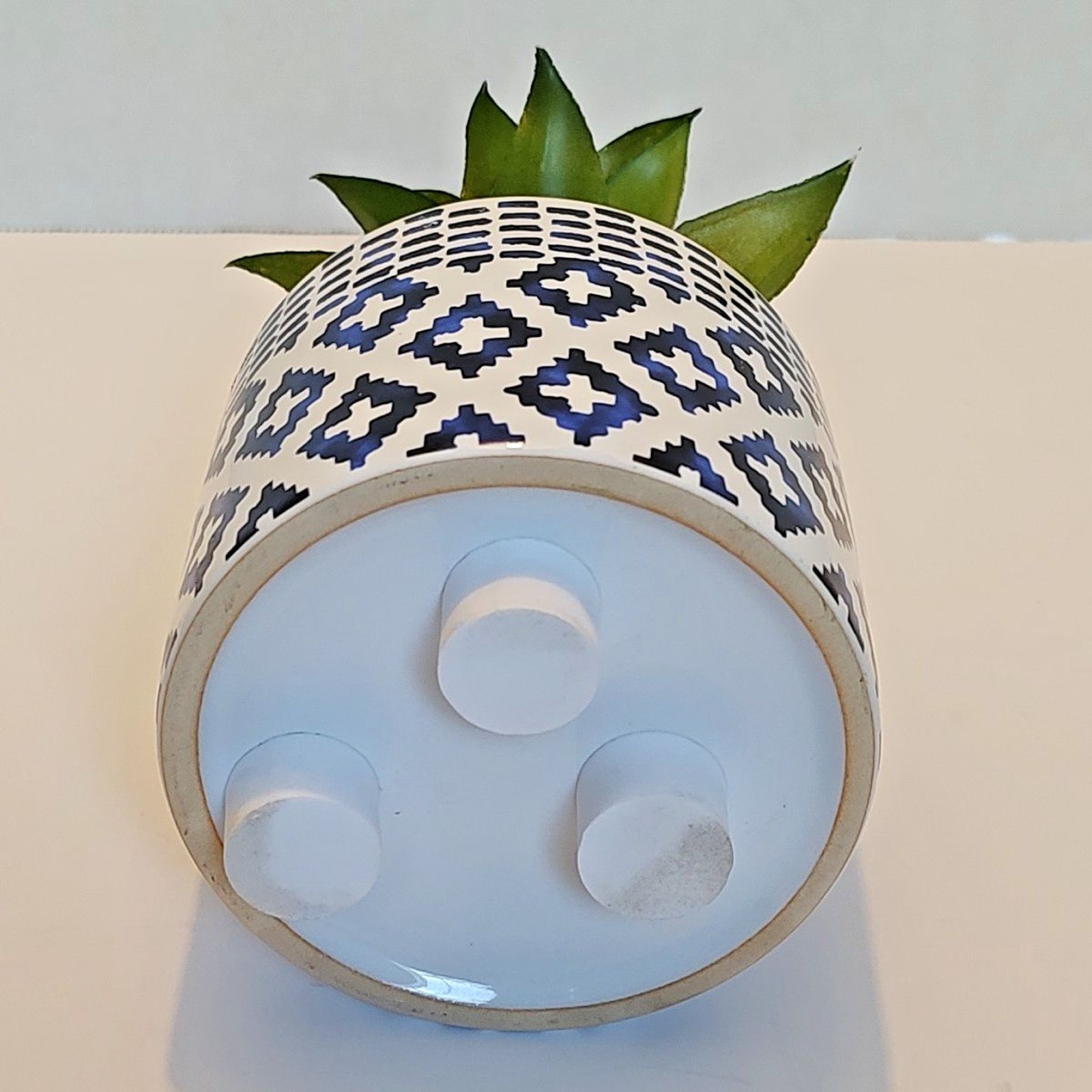 Succulent Flower Arrangement Bouquet Centerpiece Blue White Green Brown Ceramic