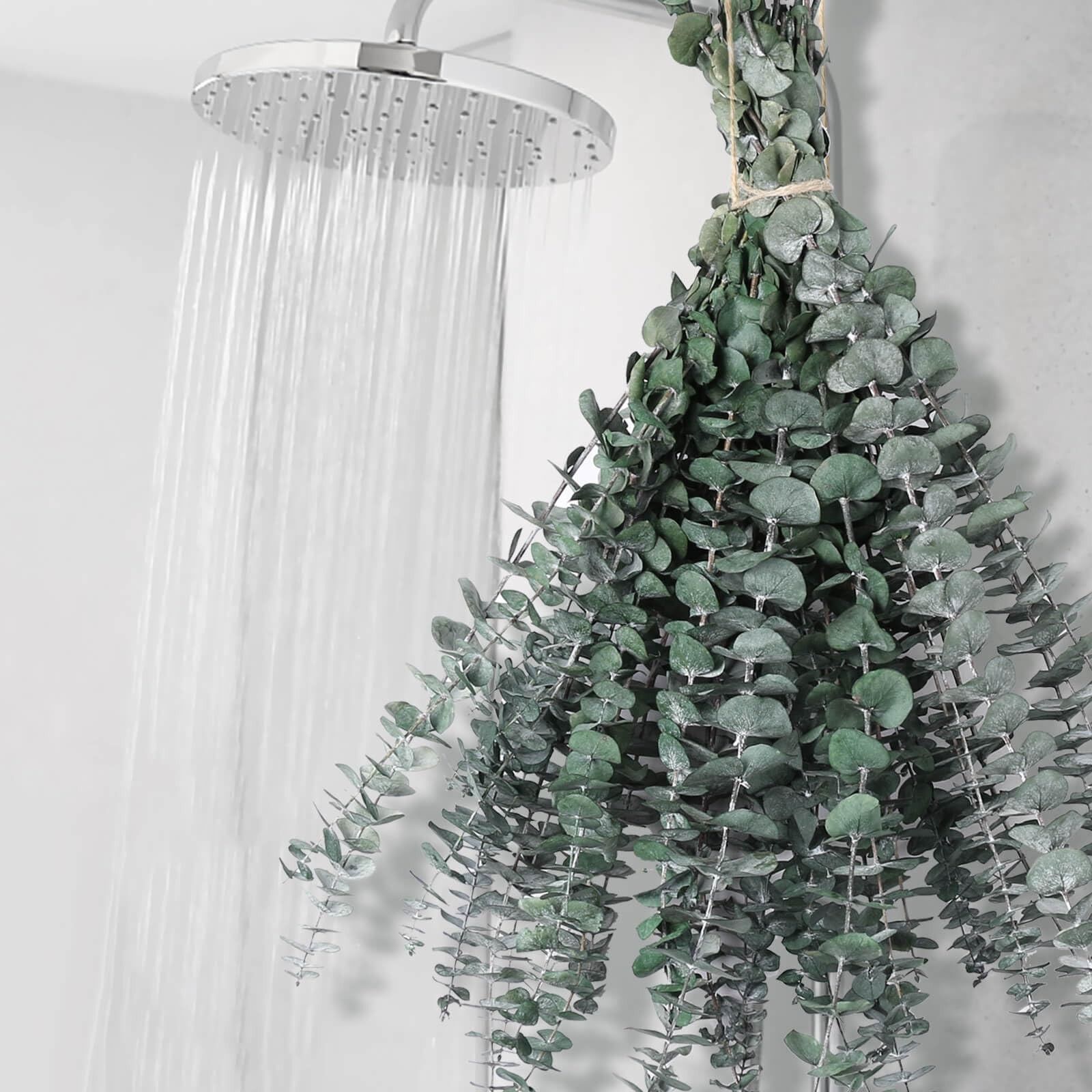Tallos de eucalipto secos de 43 cm. Tallos de eucalipto preservados Planta ducha