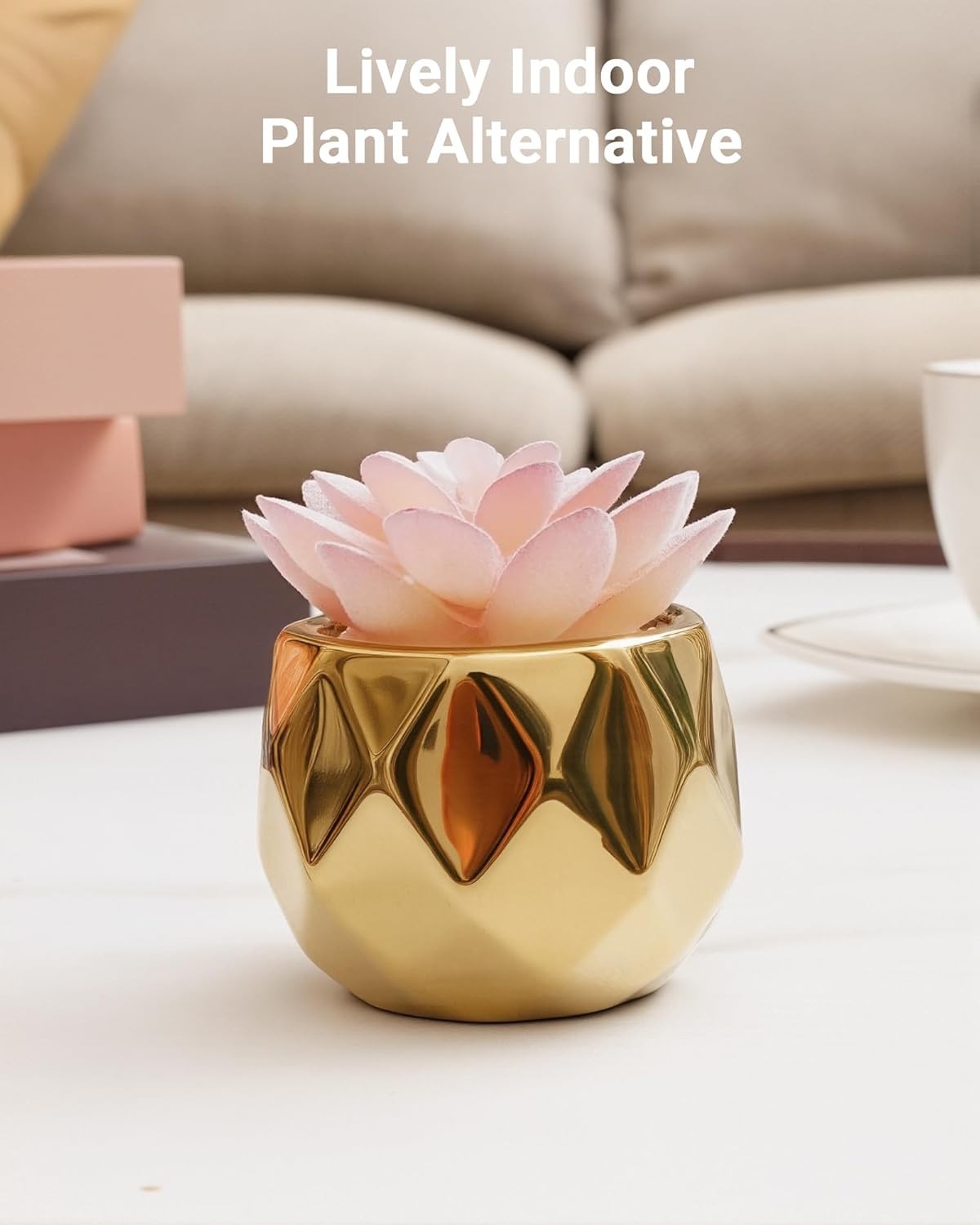 Elegant Mini Succulent Plants in Pink & Gold Ceramic – Perfect for Indoor Decor