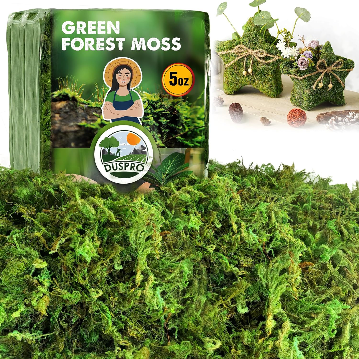 [Upgraded] Green Moss for Crafts, Real Forest Moss Potted Plants, Decorative Mo