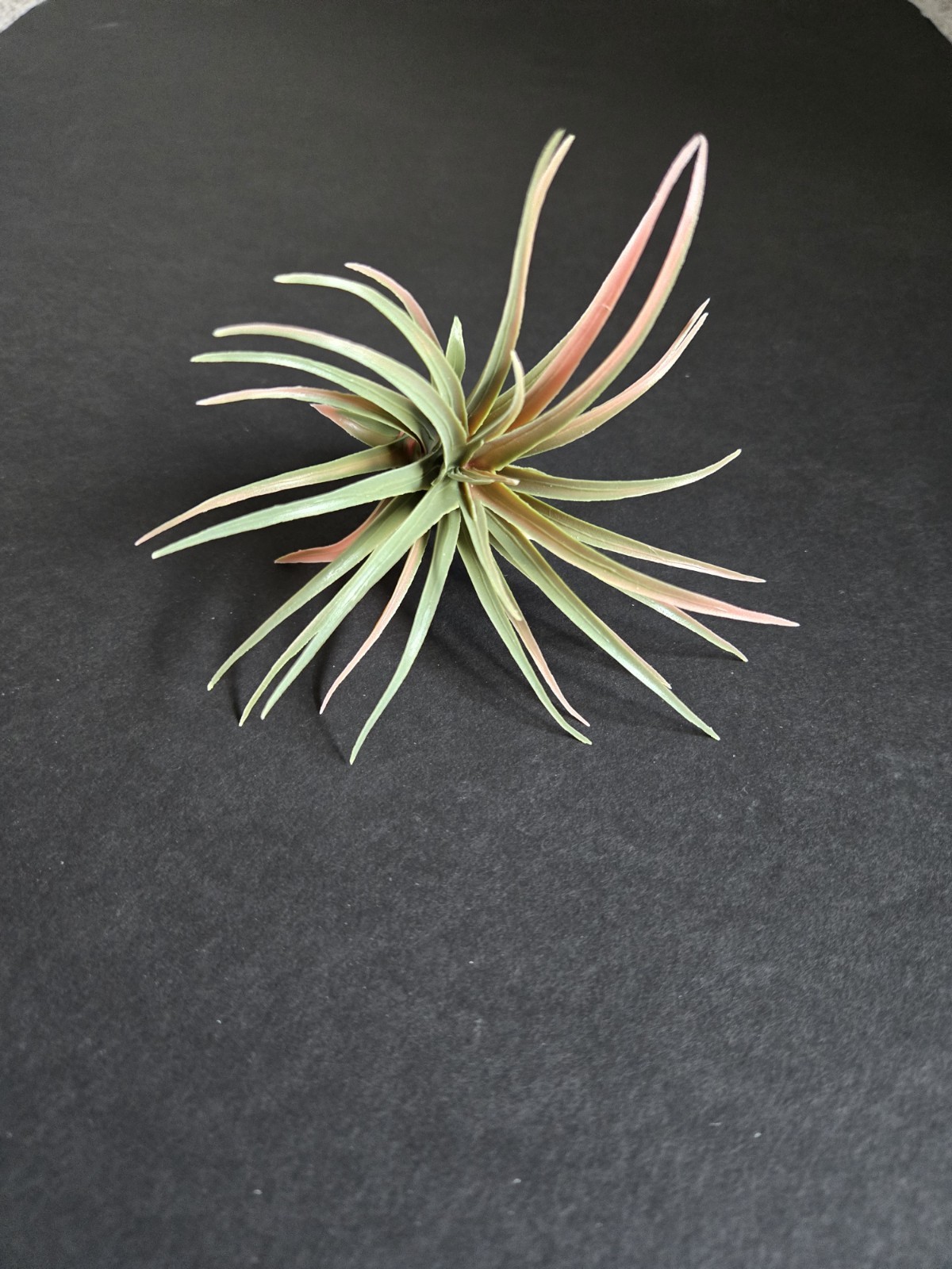 IKEA FEJKA Artificial Plant Set Of 3 Air Plant 805.599.61