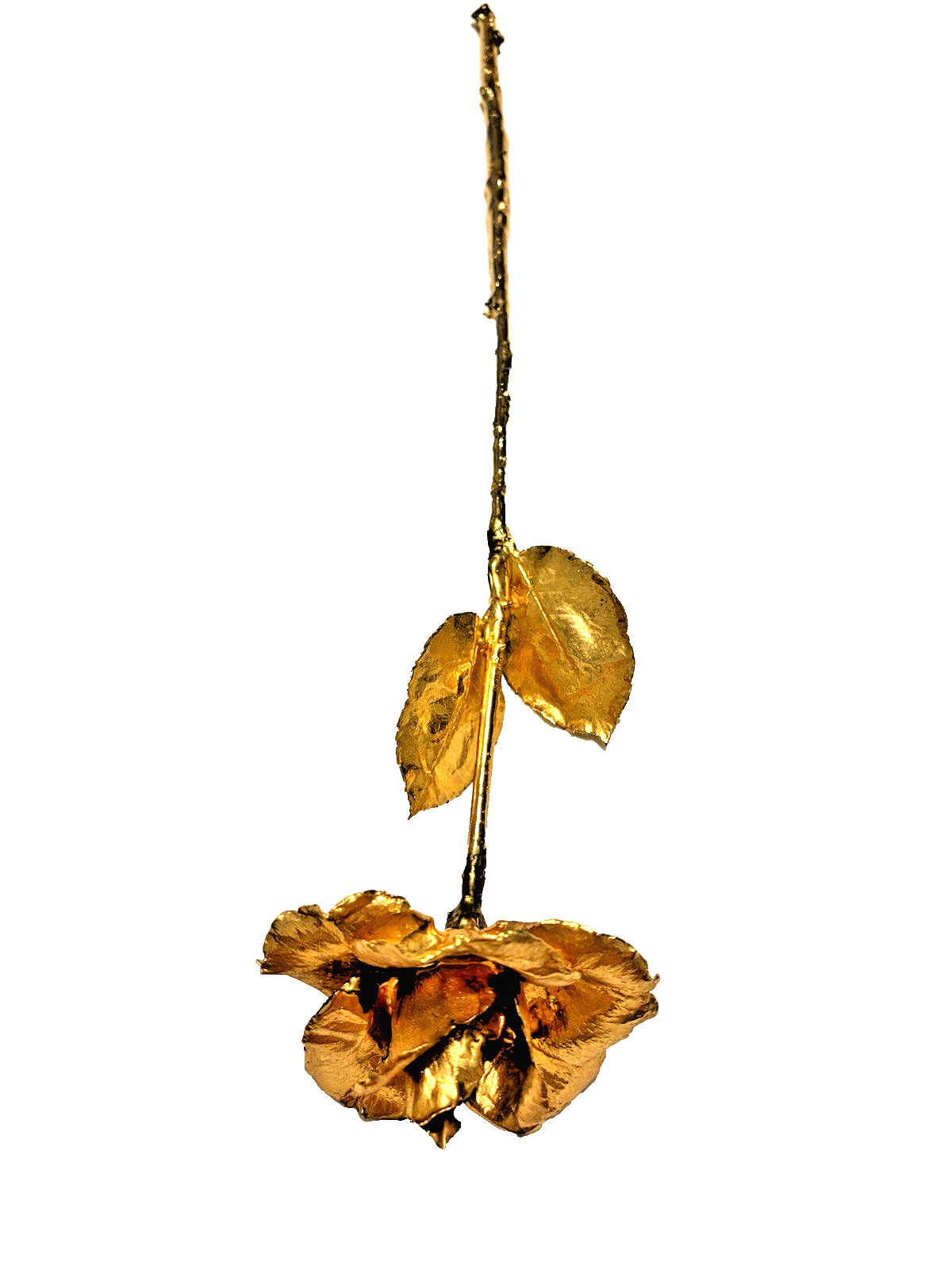 Real Natural Rose Flower Coated Preserved And Dipped In Gold