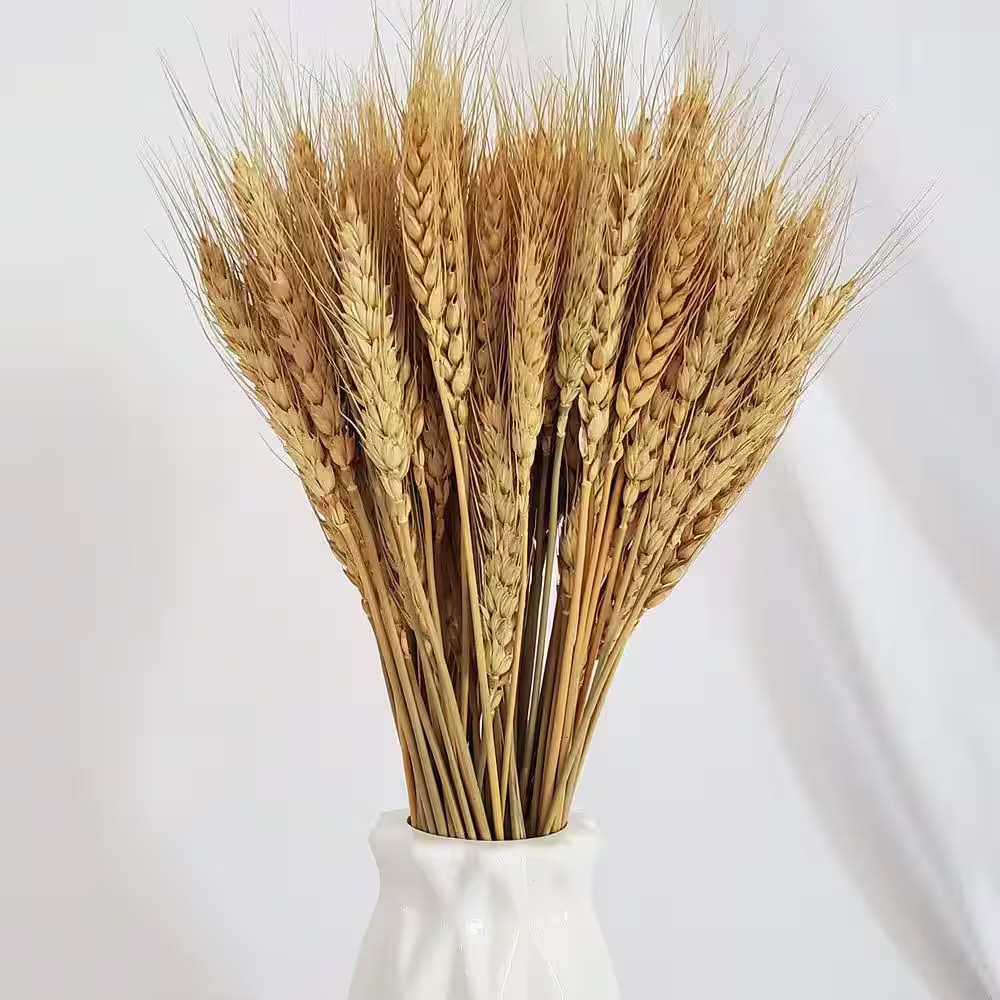 2.2 In. Farmhouse Natural Wheat Stalks 100 Pieces Gold Artificial Plant Home Tab