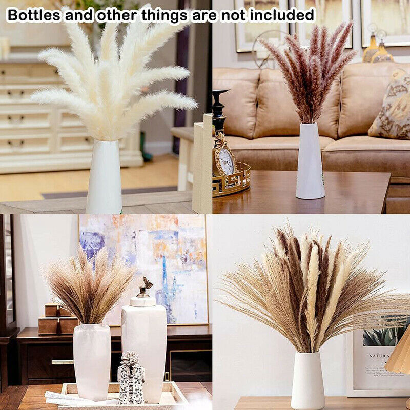 Natural Dried Plants Flower Bouquet Pampas Grass Reeds for DIY Boho Decor Home