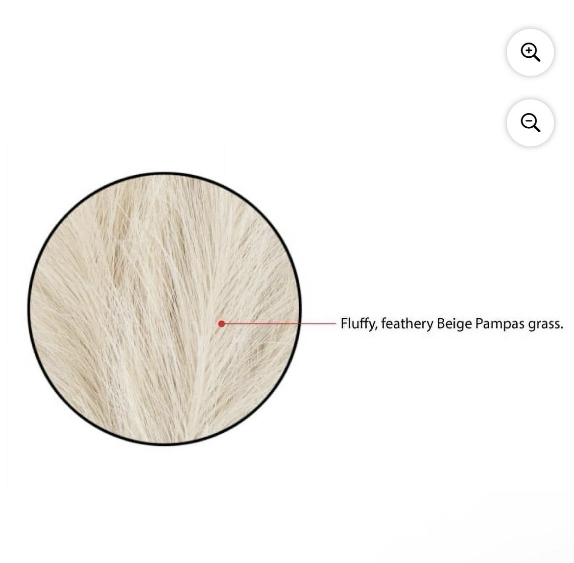 Artificial Pampas in a White Rounded Ceramic Vase – 14″ by Better Homes & Garden
