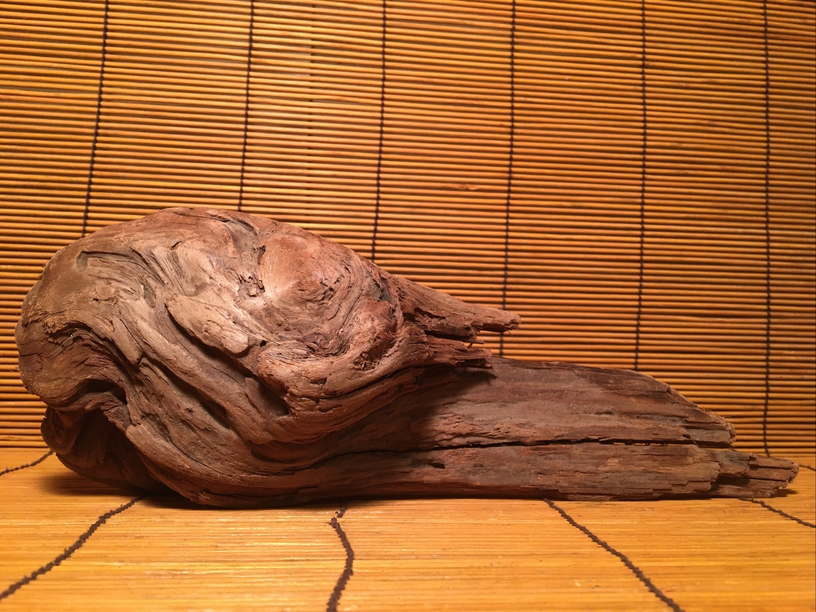Beautiful 12” DRIFTWOOD Piece Terrarium Aquascape Floral Decor Crafts Art