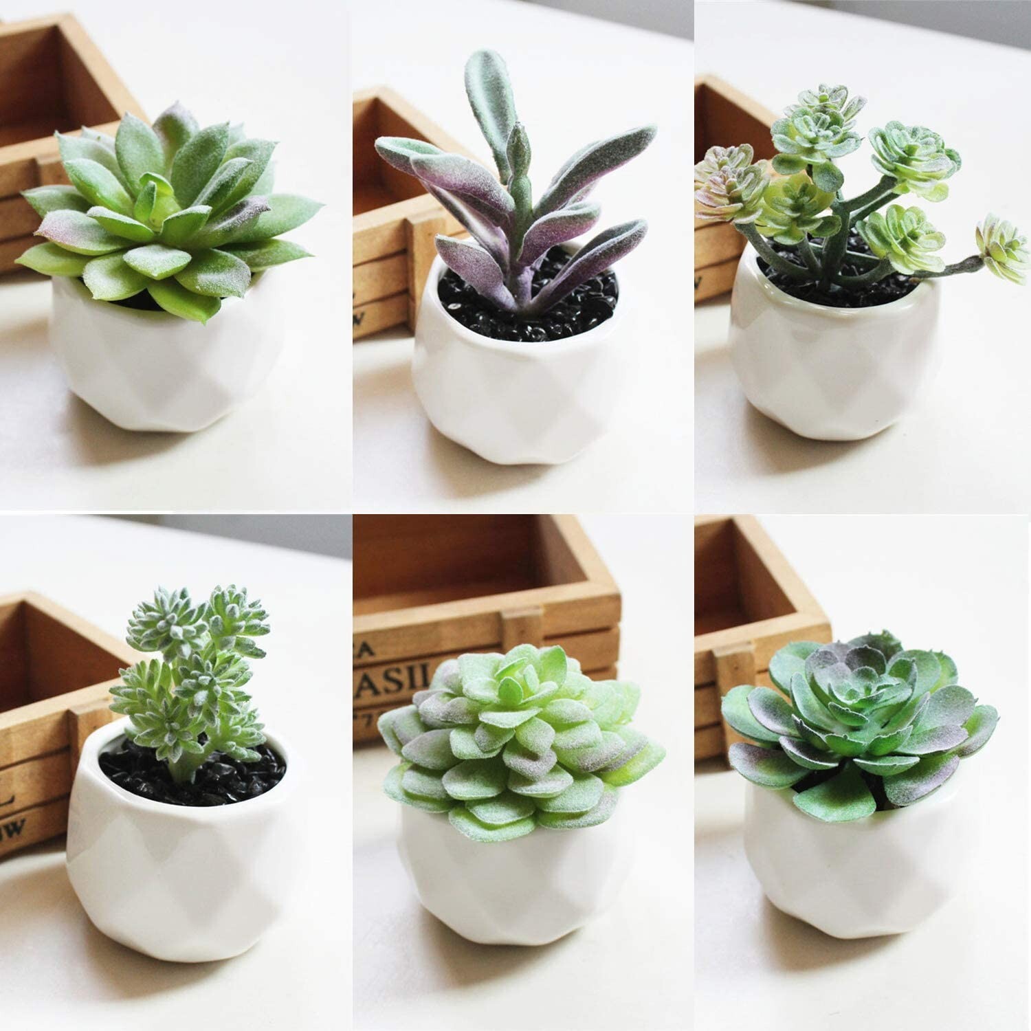 16 Pack Hassle-Free Flocked Succulent Plants – Fresh, No Maintenance Decoration