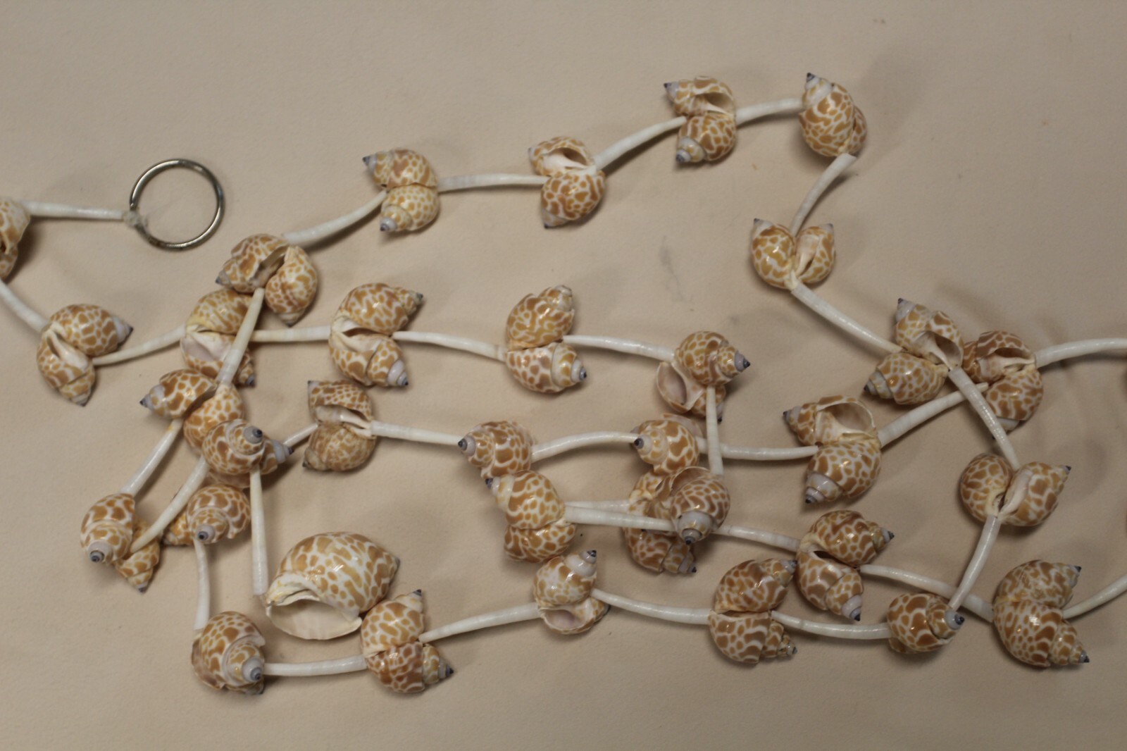 Handmade Sea Shell Garland Beach Display Decor 6 Feet Long XL Size, GS-wll