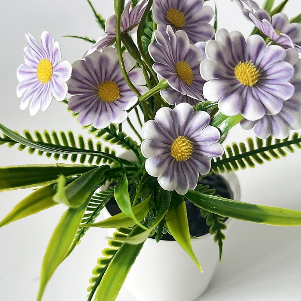 Indoor Chrysanthemum Bonsai Style Plant for Desk Nightstand Table Decor
