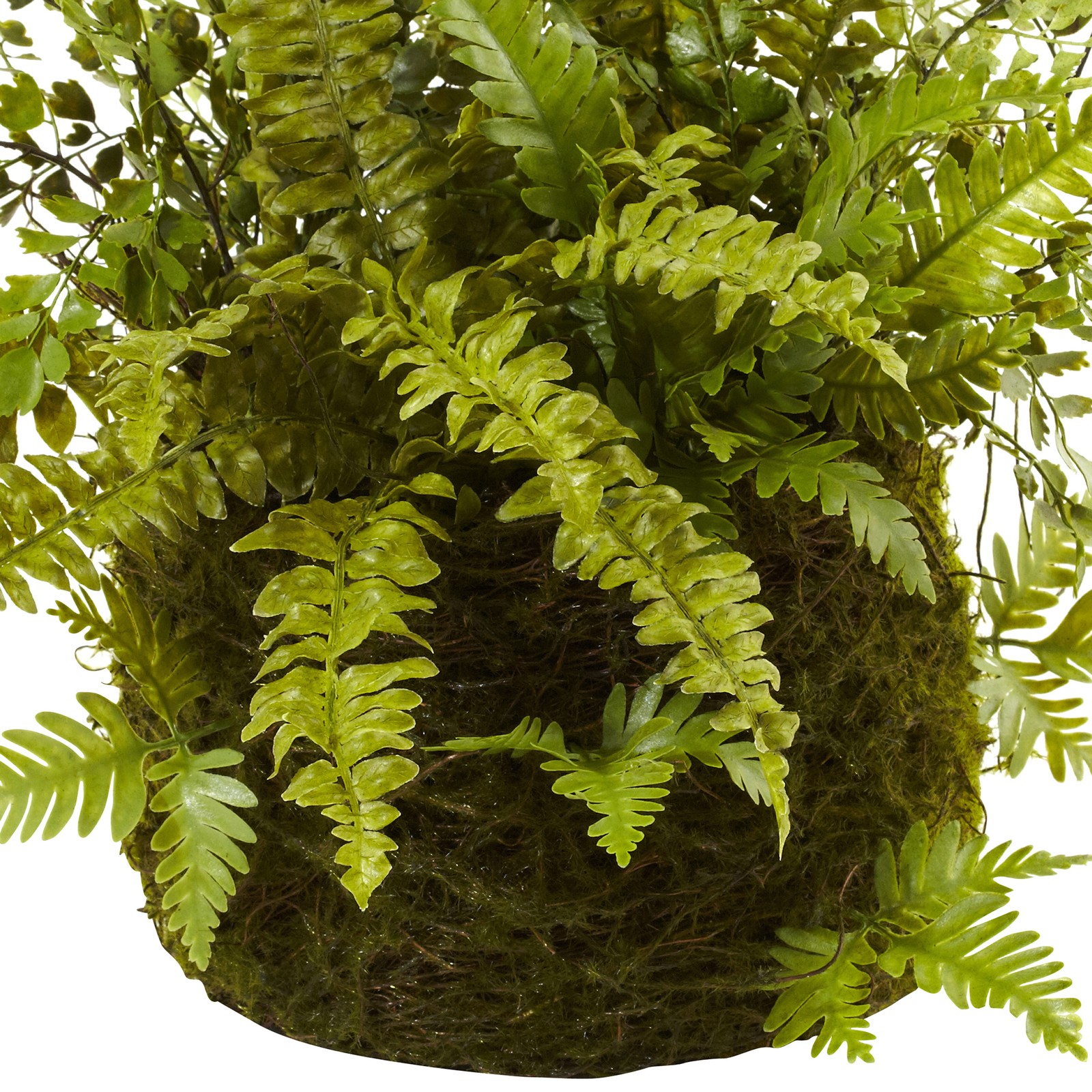 Nearly Natural Mixed Fern with Twig and Moss Basket in Green/Brown