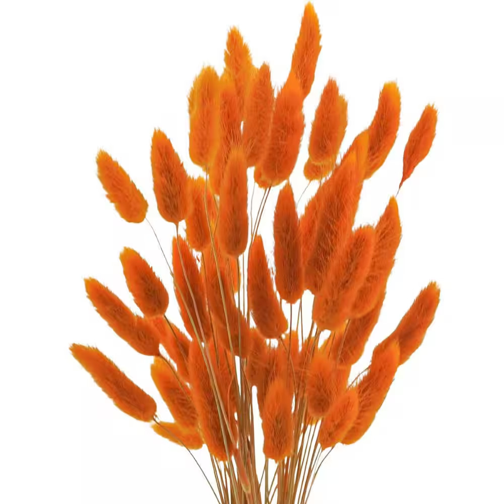 17 In. Artificial Orange Indoor/Outdoor Dried Lagurus Ovatus Bunny Tails Pampas