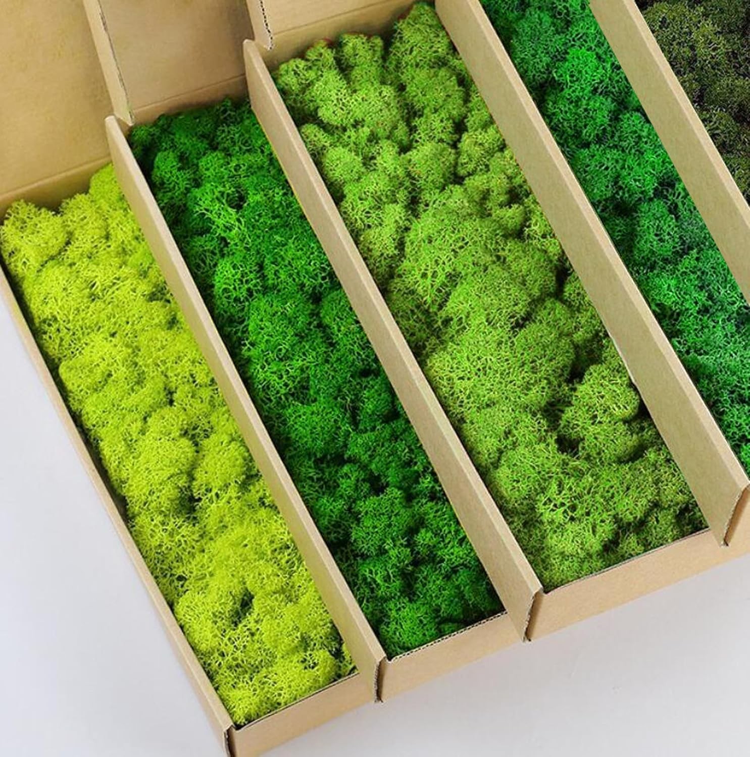Natural Reindeer Moss DIY Kit 1 lb Color Mix Green Wall Decor Artificial