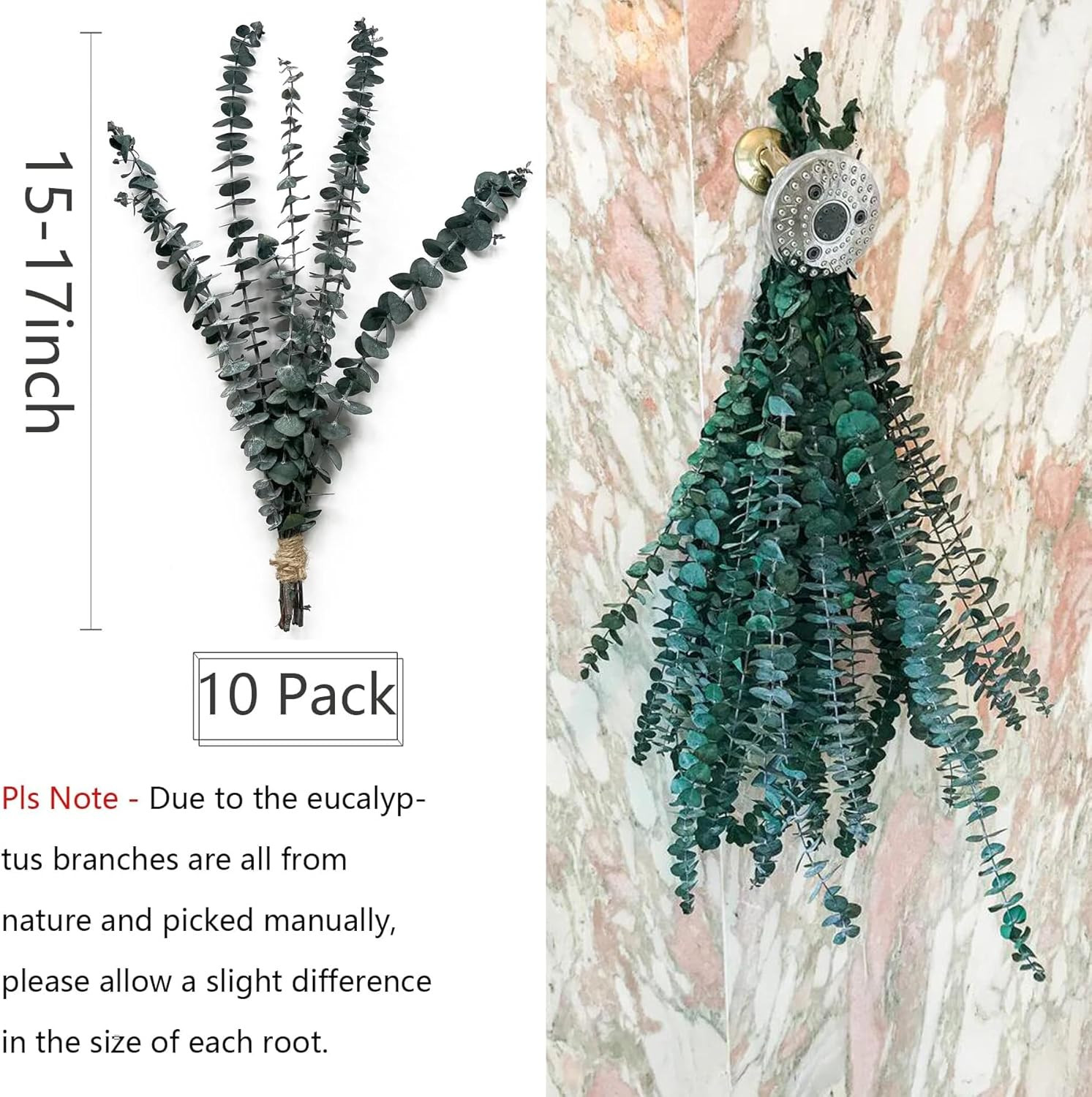 Eucalyptus for Shower 10 Pcs Hanging Dried Eucalyptu Stems 17″ Real Eucalyptus B
