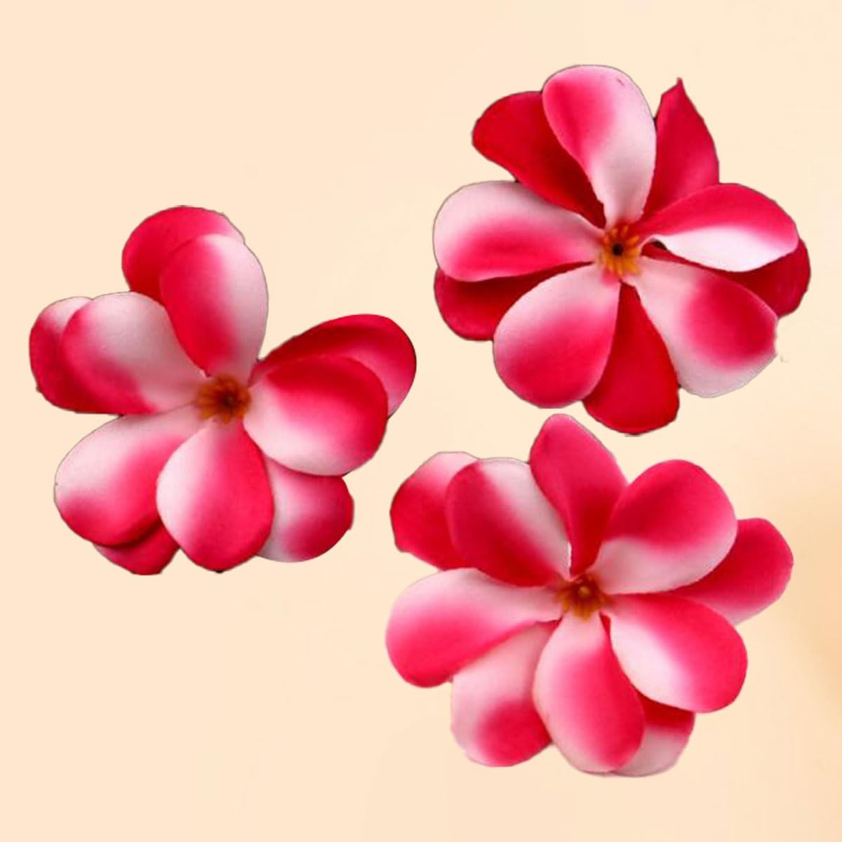 120 Pcs Artificial Plumeria Rubra Hawaiian Flower Petals Silk Flowers for DIY…