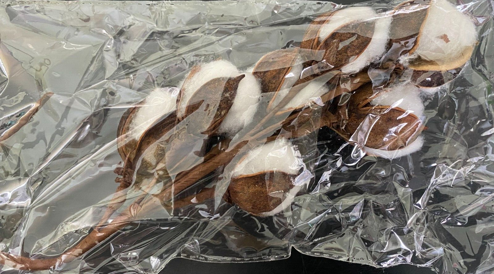 F3528 Cotton Ball With Shells – Brown Pick / Spray 12″ High Farmhouse Floral