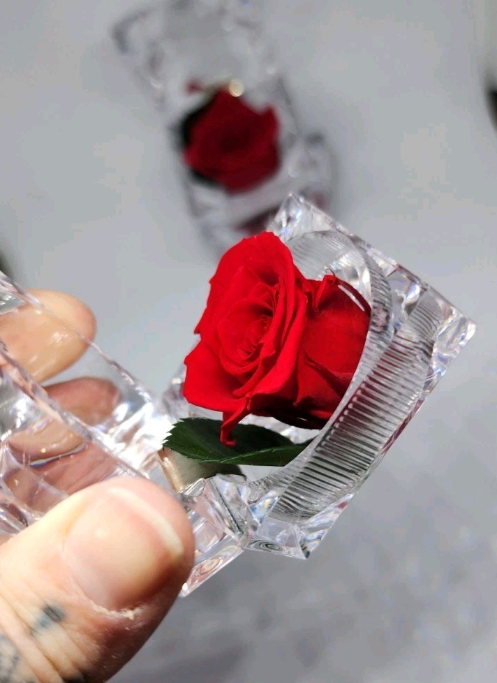 preserved Real red rose W Leaf In clear diamond shaped acrylic Ring box