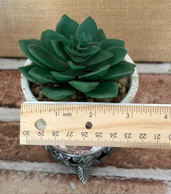 SMALL ARTIFICIAL SUCCULENT PLANT SHELF-SITTER DESK-TOP DECOR DORM ACCESSORY