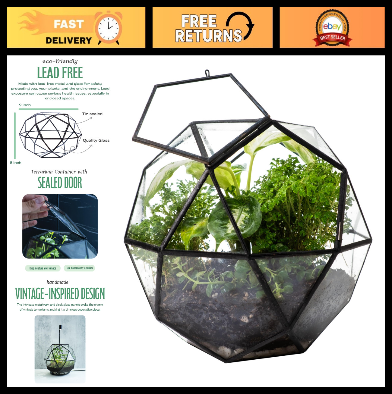Clear Glass Terrarium with Door – Sphere Design Planter for Moss & Indoor Plants
