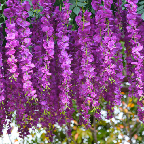 12PCS Artificial Fake Wisteria Vine Ratta Hanging Garland Silk Flowers Decor