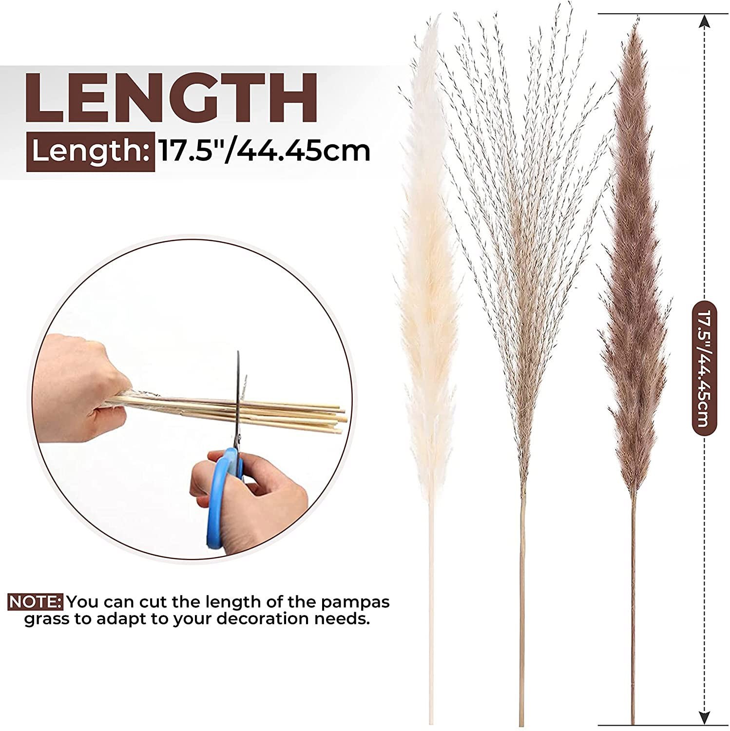 60PCS Pampas Grass Natural Dried Reed Flower Bunch Bouquets Home Wedding Decor
