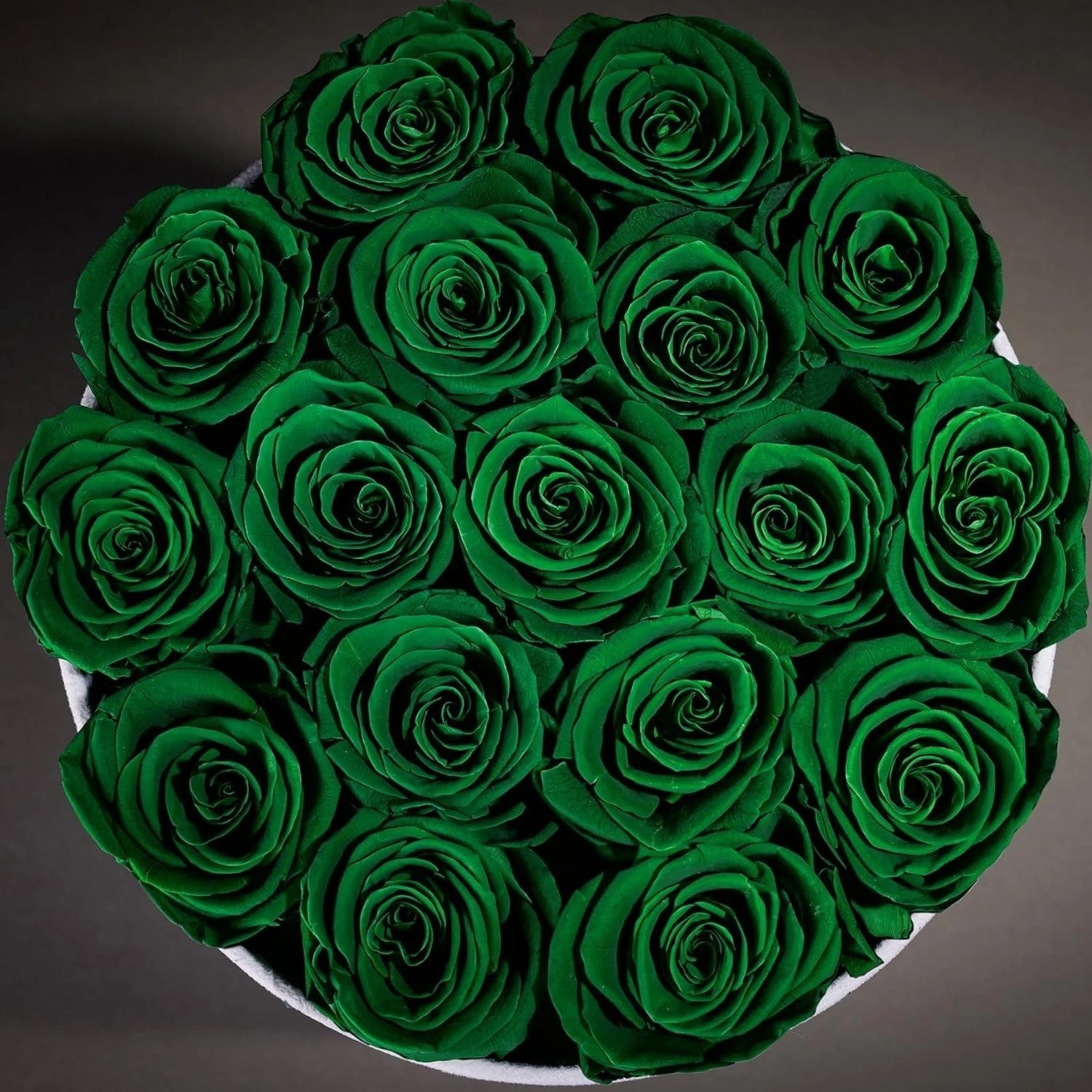 Handcrafted 17 Preserved Roses in Dark Green Suede Box – Effortless Elegance