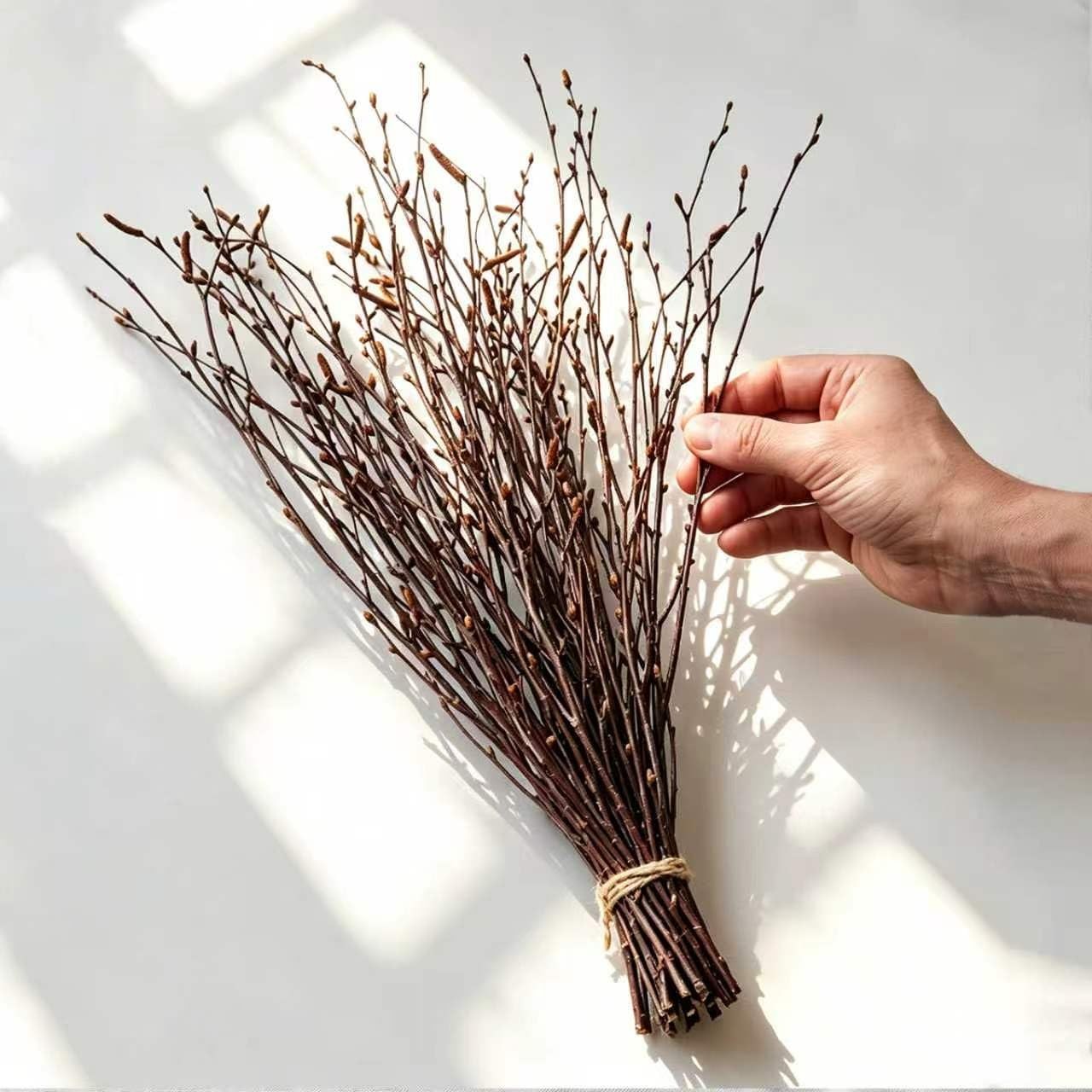 Natural Birch Branches, 30 Pcs Dried Twigs and Branches for Vases, 17″ Tall R…