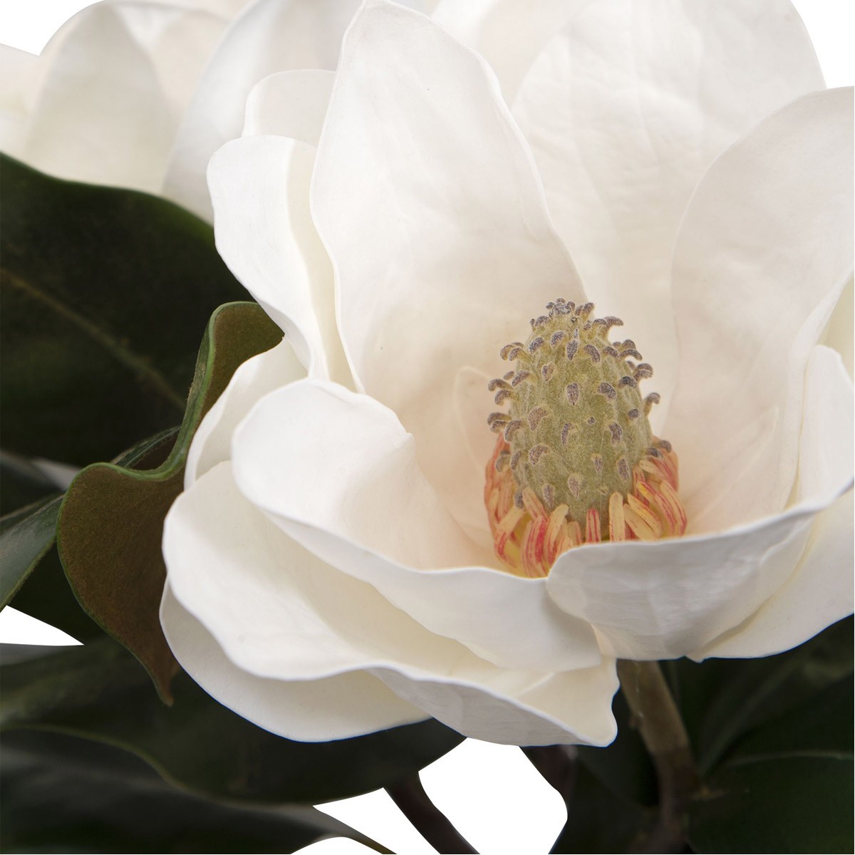 Uttermost 60186 Middleton White Magnolia Blooms Flower Centerpiece