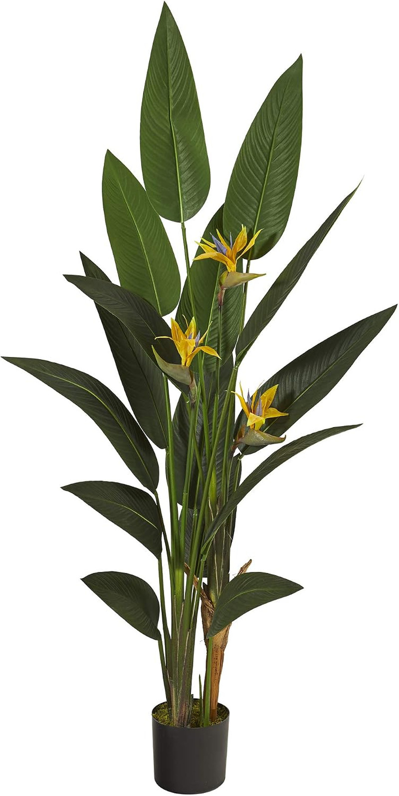6Ft. Bird of Paradise Artificial Plant