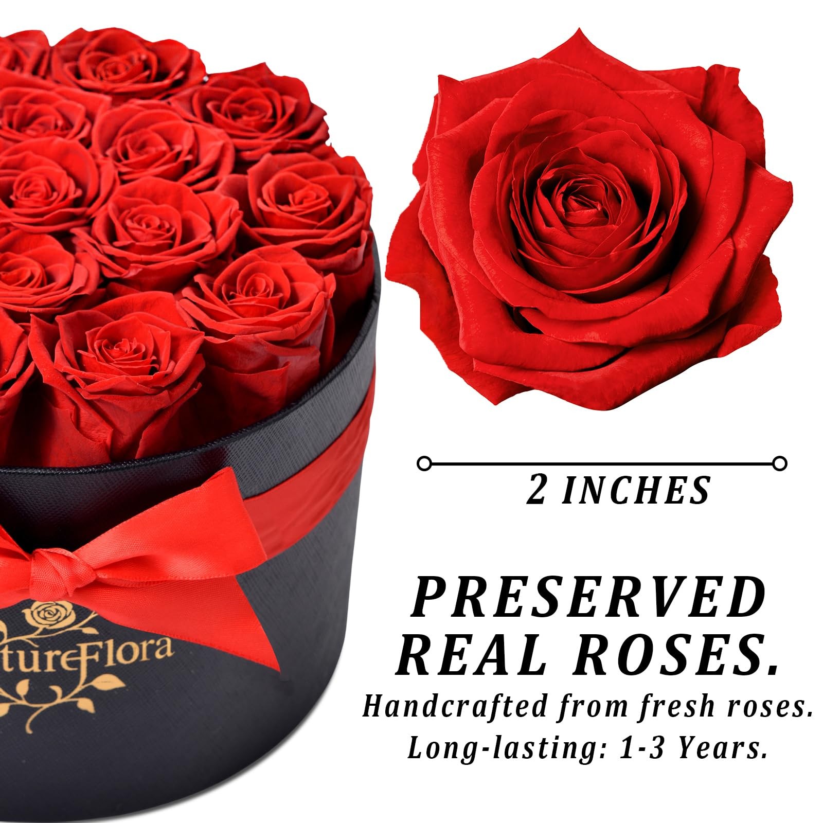 17 PCS Forever Preserved Red Roses Gift Real Flowers In Box Anniversary Her