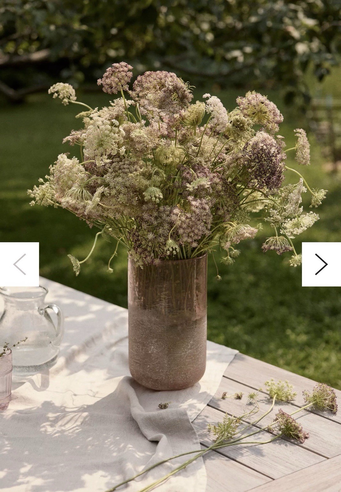 terrain 23 purple queen anne’s lace Anthropologie