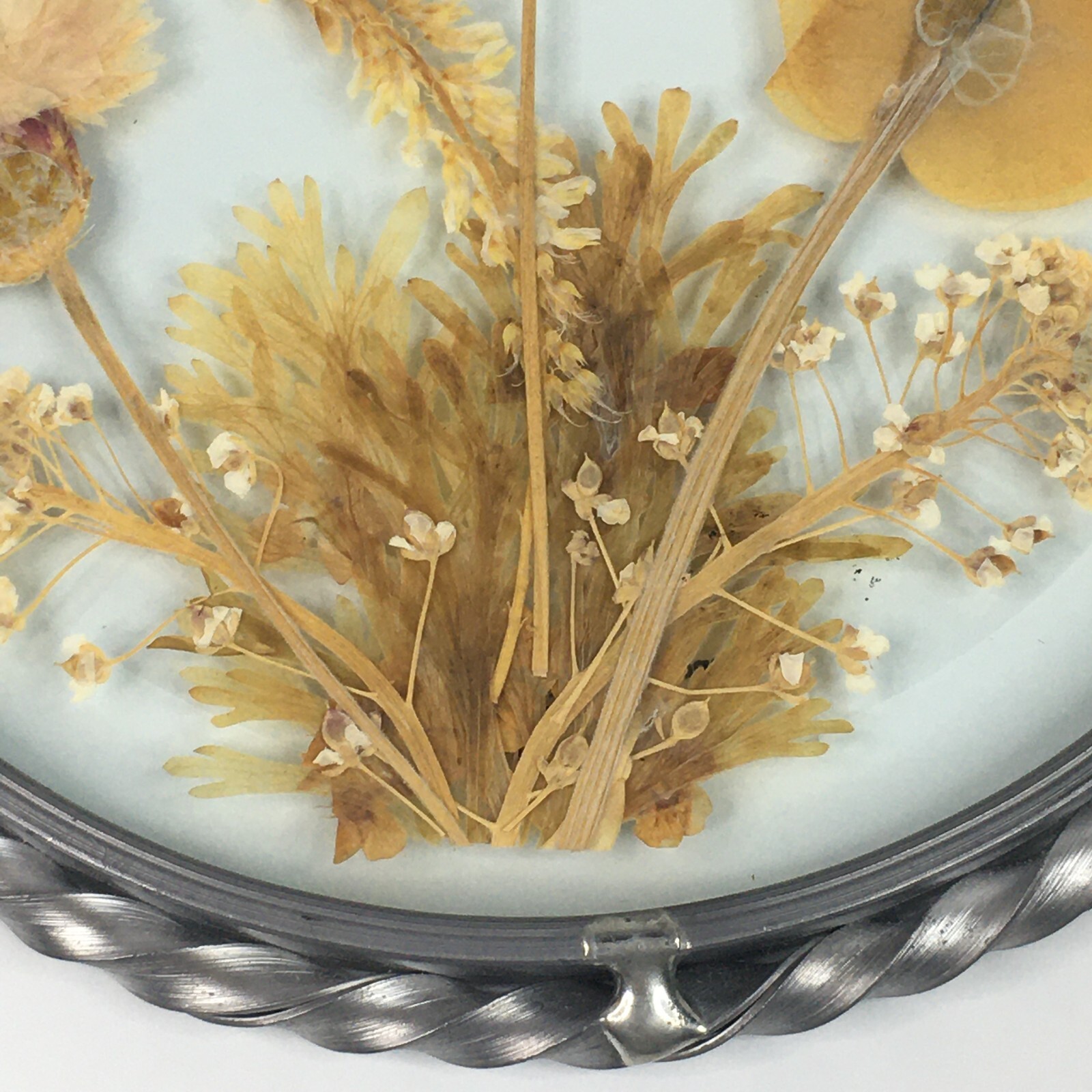 Lasting Impressions Real Flowers Glass Wall Hanging Pressed Flowers USA Floral