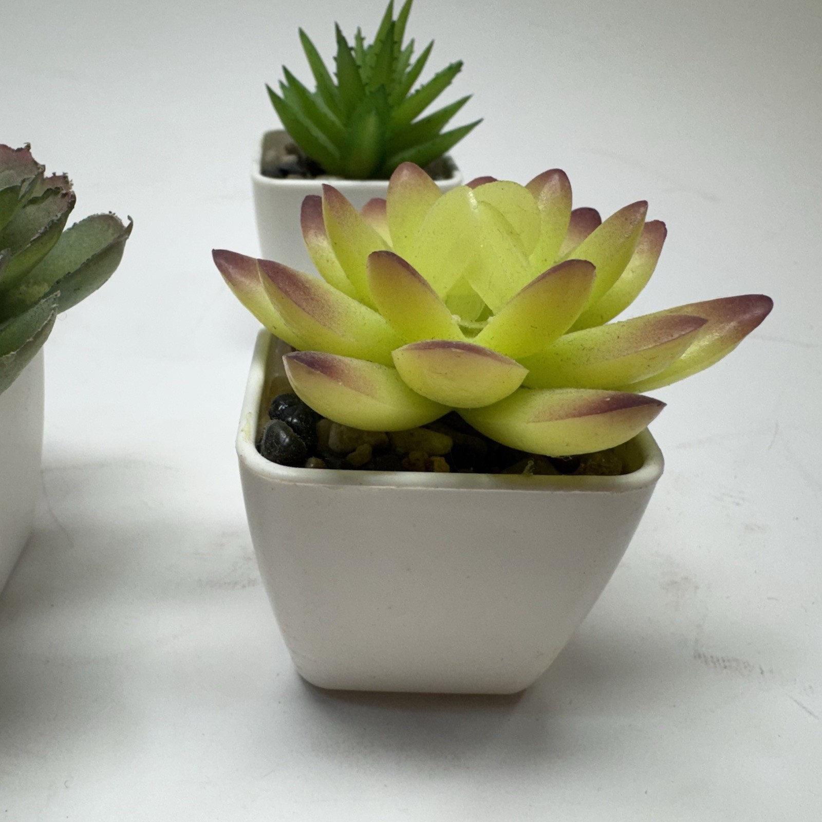 Gift Set of 5 Mini Artificial Succulent Plants in Square White Plastic Pots