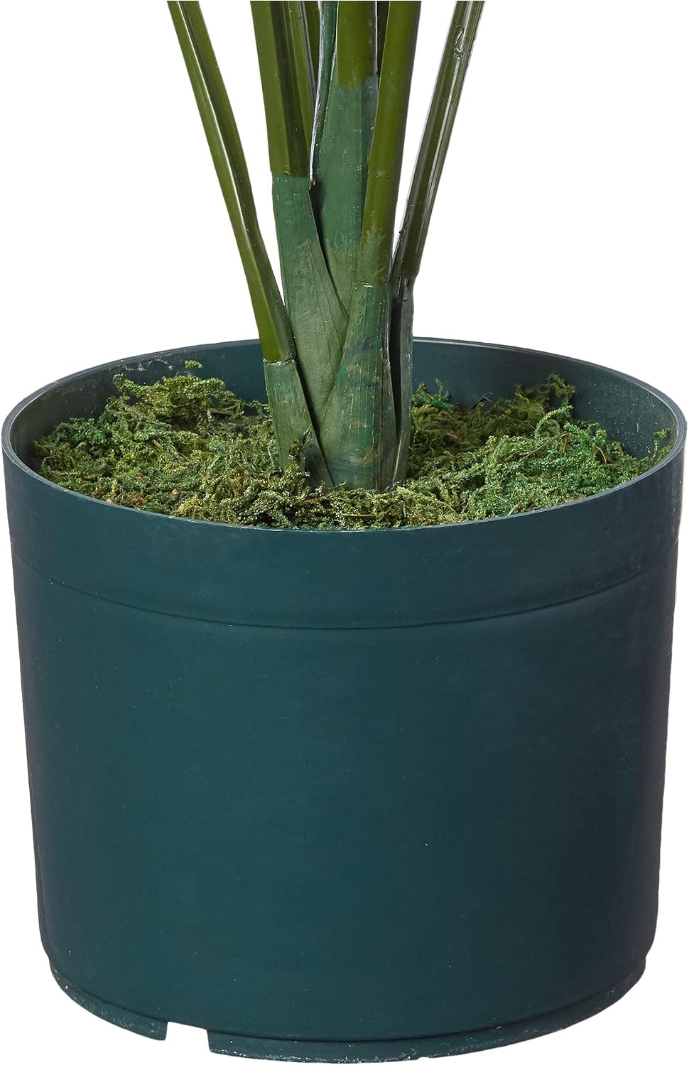 4 Ft Artificial Kentia Palm Tree with Nursery Pot | 9 Full Fronds of Breezy Palm