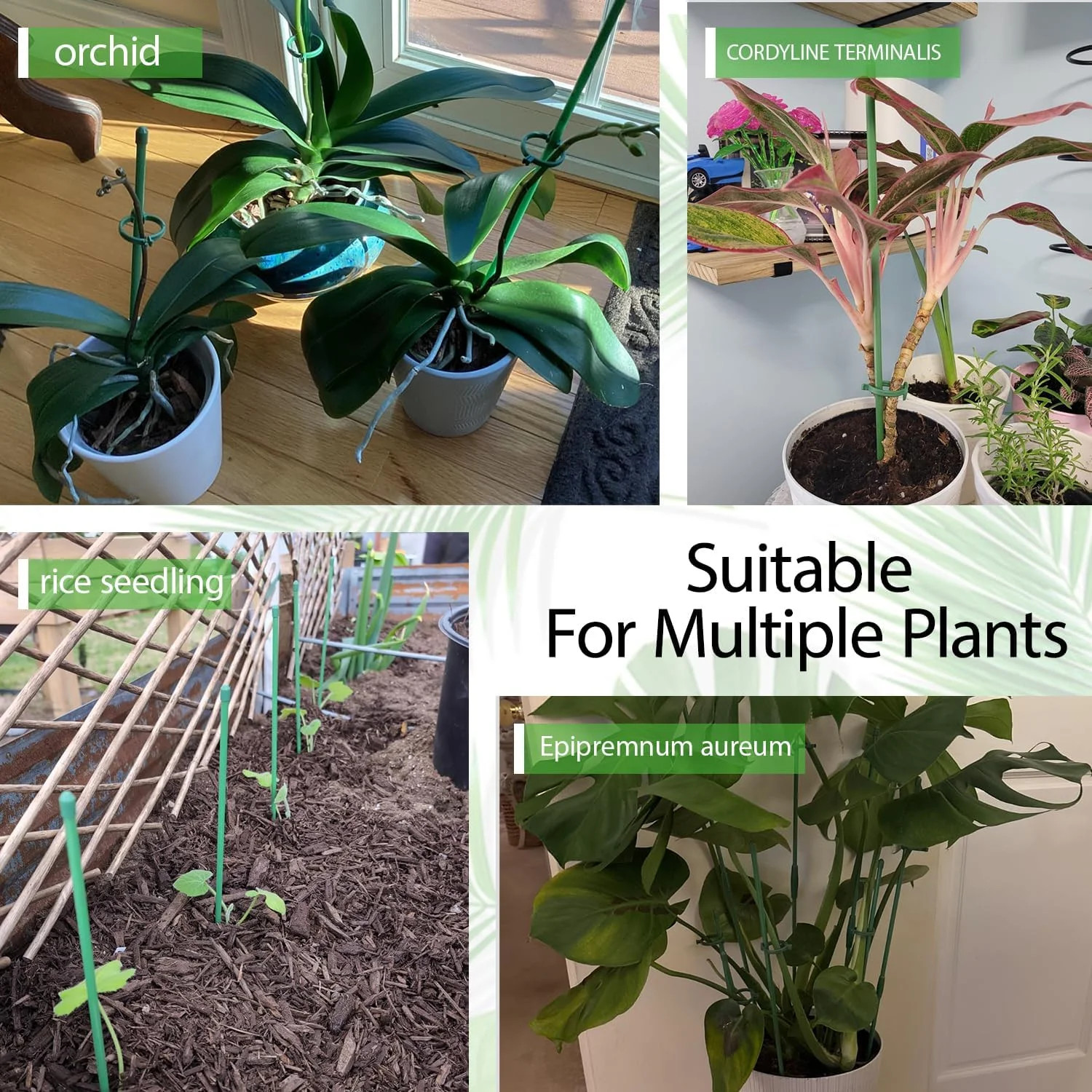 Plant Stakes,MAFONE 10Pcs 15In Monstera Plant Support Orchid Sticks Extended to