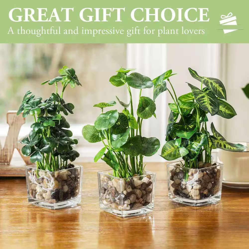 9.5 In. Green Indoor Small Artificial Potted Plants in Clear Glass Pot Set of 3