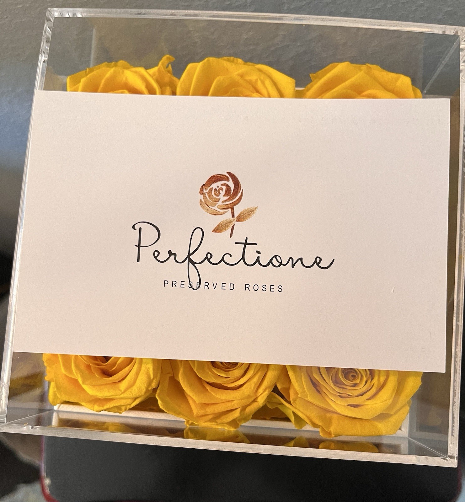 Perfectione Roses Preserved Yellow Roses in a Box With Clear Lid, Long-Lasting