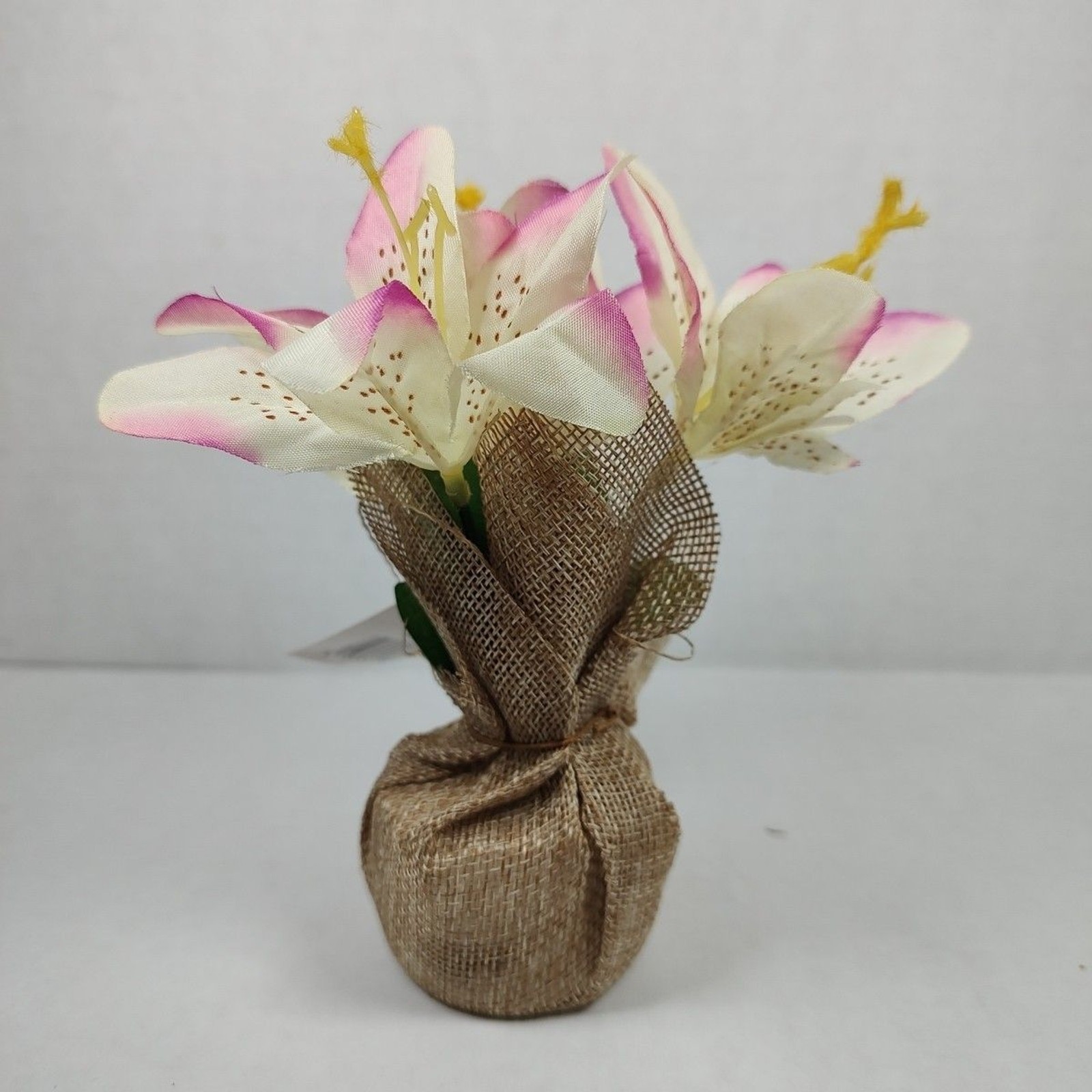 Trueliving Floral Arrangement Flower Bouquet Mini Potted Plant 6″ x 5″ Lily