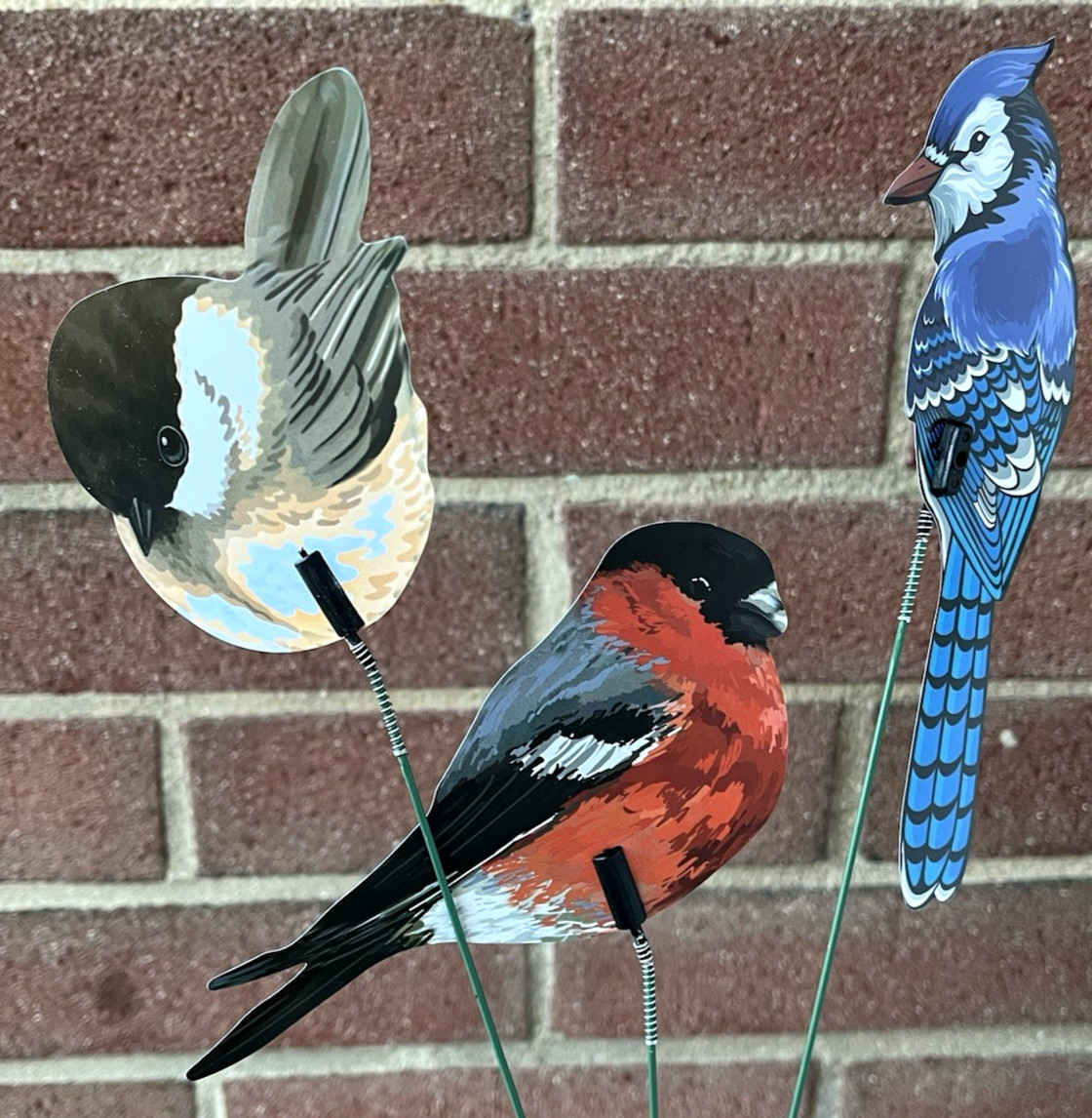 Blue Jay, Red Bird, Chickadee Bird Picks Lot of 3 Plastic Birds on Wire Stems